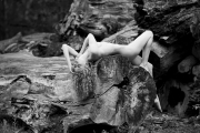 20160612_Fredau_0356