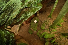 20160520_ElleBeth_0077print