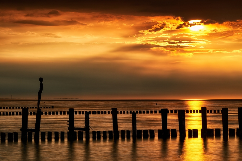 20170523_Zingst_0055_portfolio